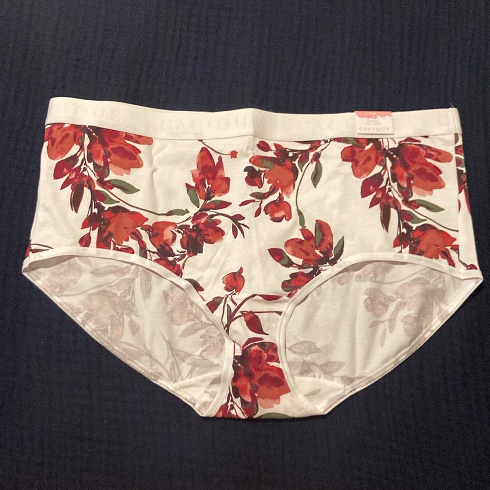 NWT Cacique Lane Bryant painterly floral white full brief panties Size 14/16